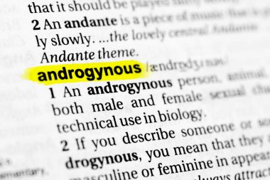 Vurgulanmış İngilizce kelime 