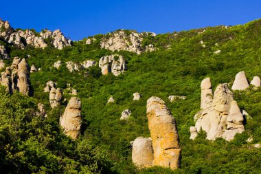 Demerdzhi Dağı 'nın yamacında kayalar ve ağaçlarla kaplı büyük kayalar, yazın Avrupa' da yaz mevsiminde Ukrayna 'nın Kırım şehrinde günbatımında orman
