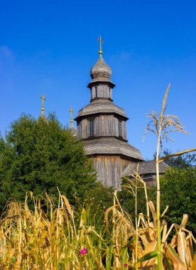 a wooden gray old Orthodox church in Ukraine in Europe with a dome, among trees and tall grass in the foreground against a blue bright sky during the day