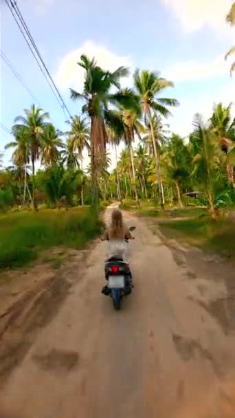 Tayland Sakin Bir Tropikal Adada Hindistan Cevizi Palmiyeleriyle Kaplı Manzaralı — Stok video