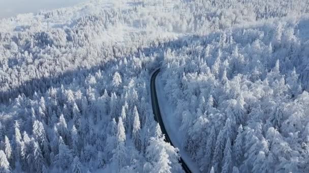 雪に覆われた松林の中を車の空中ビューで山の中で息をのむような冬のおとぎ話の風景 — ストック動画
