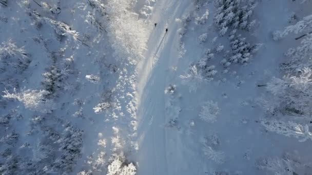 Vue Unique Sommet Vers Bas Des Randonneurs Ski Marchant Dans — Video