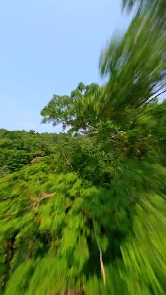 Μια Δυναμική Πτήση Κπα Drone Πάνω Από Πυκνό Τροπικό Δάσος — Αρχείο Βίντεο