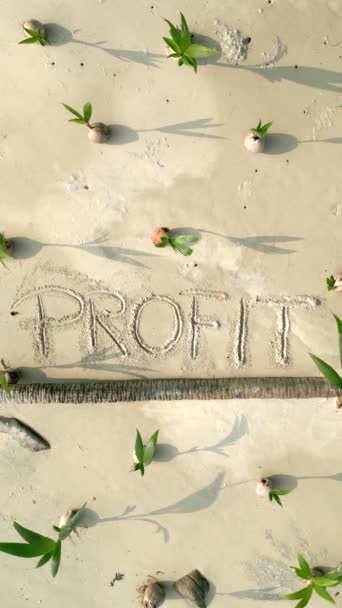 热带海滩上的白色沙滩上写着一个Profit字 背景是年轻的椰子树 业务增长 财务成功 利润增长 投资的概念 — 图库视频影像