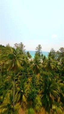 İnsansız hava aracı Hindistan cevizi palmiyelerine yakın uçuyor ve Tayland 'da güzel bir tropikal adada beyaz kumsal üzerinde uçuyor..