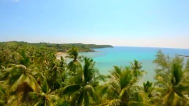 Hindistan cevizi palmiyeleri üzerinde uçan drone ve turkuaz suyla çarpıcı beyaz kum plajı.