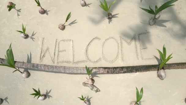 Вид Зверху Знак Welcome Написаний Білому Піску Тропічному Пляжі Молодими — стокове відео