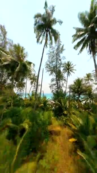 美しい白い砂浜で終わるヤシの森を通るフライト タイの熱帯島で透明なターコイズブルーの水 — ストック動画