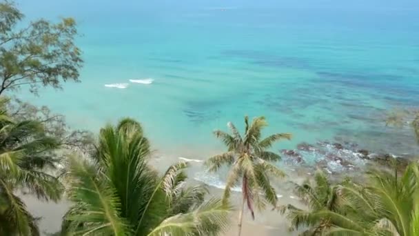 熱帯ヤシの木 透明なターコイズブルーの海の水 白い砂浜の素晴らしい空中ビュー タイ王国における牧歌的な島の隠れ家 — ストック動画
