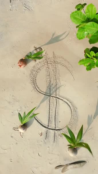 热带气候下 在白沙滩上画的美元符号 — 图库视频影像