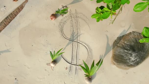 Amerikaanse Dollar Teken Getekend Het Witte Zand Een Tropisch Klimaat — Stockvideo