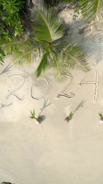 2024年の空中写真は 若いヤシの木に囲まれた熱帯のビーチで白い砂の上に書かれています — ストック動画