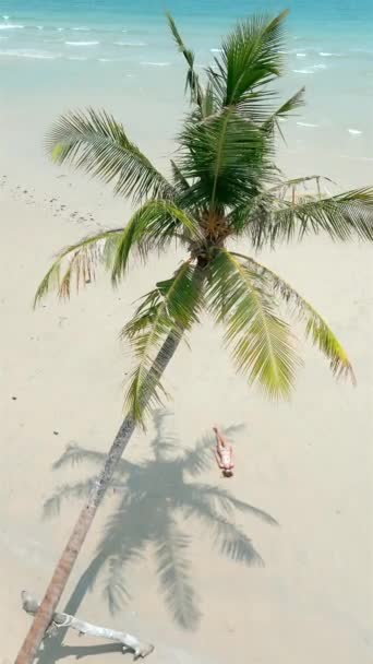 นหย ดฤด อนบนเกาะท แปลกใหม มมองทางอากาศของหญ งสาวอาบแดดในร มเงาของต นปาล มบนชายหาดทรายส ขาวท — วีดีโอสต็อก