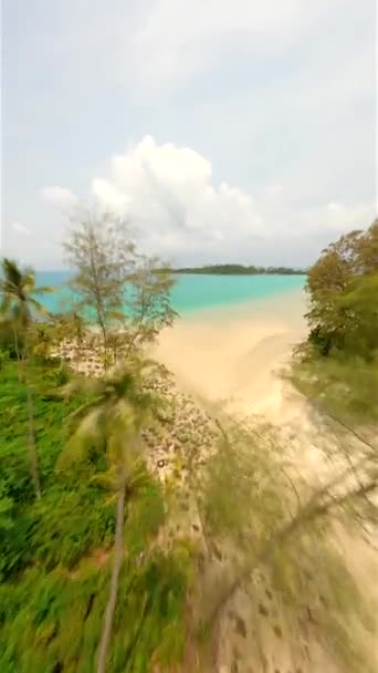 美しい白いビーチの上のヤシの木の後ろからダイナミックな映画のドローン飛行 砂の上に手書きの2024という言葉 — ストック動画