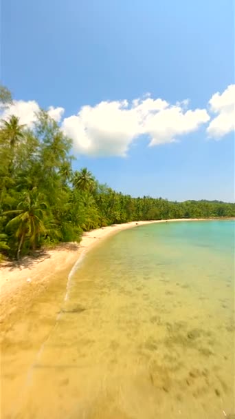 透き通ったターコイズブルーの水とヤシの木 青い空が広がる美しい白い砂浜を飛ぶドローンは 晴れた日にタイの熱帯の楽園の島で — ストック動画