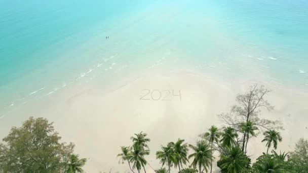Oszałamiający Widok Lotu Ptaka Rok 2024 Zapisany Białej Piaszczystej Plaży — Wideo stockowe