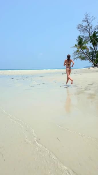 スローモーションで熱帯パラダイスビーチで走るアクティブな若い女性 群衆からの脱出の概念 空の楽園 アクティブなライフスタイル ビーチバケーション — ストック動画