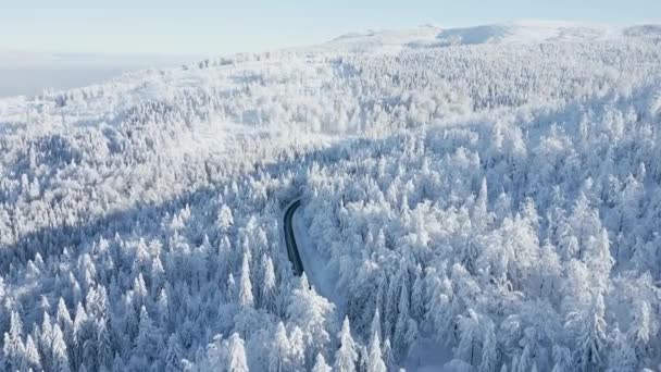 山の中で冬のおとぎ話の風景の中に息をのむような雪に覆われた松林を通って車を運転の空中ビュー — ストック動画