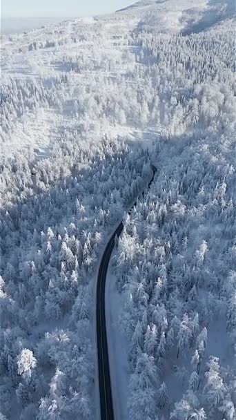 晴れた日には山の中で冬のおとぎ話のような風景の中に息をのむような雪に覆われた松林を通って車の運転の空中ビュー ポーランド シュチルク州 — ストック動画