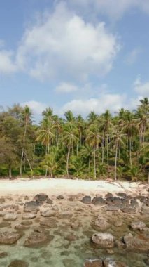 Beyaz boş bir sahil, kristal berrak turkuaz su, hindistan cevizi palmiyesi ağaçları, ve güzel bir cennet adasında mavi gökyüzü..