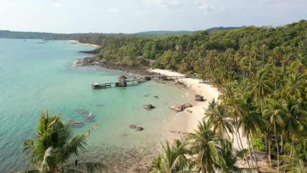 태국의 파라다이스 섬에는 청록색 과흔들리는 야자나무가 아름다운 풍경이 펼쳐져 — 비디오