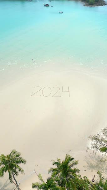 2024年美丽的航拍画面 写在热带海滩上 是天堂般的风景 有棕榈 清澈的碧绿海水 还有一对恋人悠闲地在浅的大海中漫步 — 图库视频影像