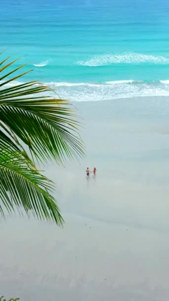 Mutlu Genç Çift Romantik Bir Manzarada Boş Bir Tropik Plajda — Stok video