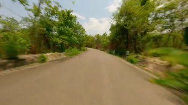 Hızlı FPV insansız hava aracı güzel güneşli bir günde yeşil bir ormanın ortasında yol boyunca uçuyor..