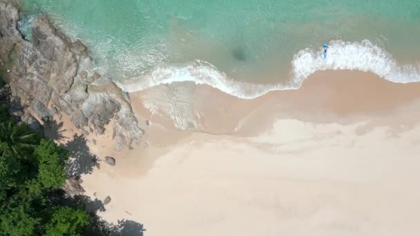拥有棕榈树 白沙和晶莹清澈碧绿的海水的热带海滩上美丽的海岸线尽收眼底 皮划艇手抵达泰国一个天堂岛上的一个空旷海滩 — 图库视频影像