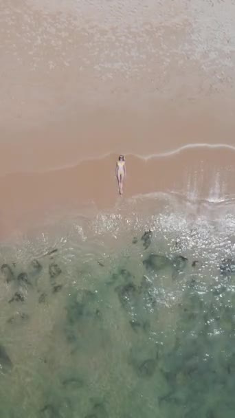 Vista Superior Uma Jovem Mulher Biquíni Lado Mar Cintilante Enquanto — Vídeo de Stock