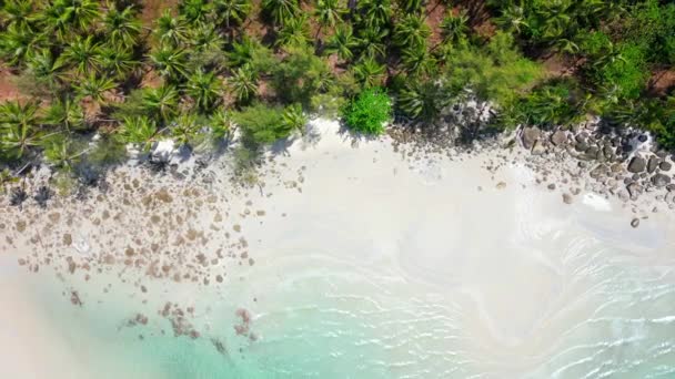 Vista Superior Una Idílica Playa Tropical Con Palmeras Arena Blanca — Vídeo de stock
