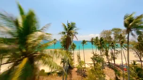 Fpvドローンは高くそびえるヤシの木や白い砂とターコイズブルーの水で美しい熱帯ビーチを飛んでいます — ストック動画