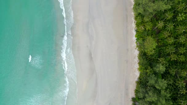 Vista Dall Alto Della Bellissima Costa Tropicale Con Palme Sabbia — Video Stock