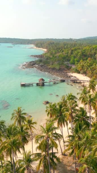 Traumhafte Tropische Strandlandschaft Mit Kristallklarem Türkisfarbenem Wasser Weißem Sand Und — Stockvideo