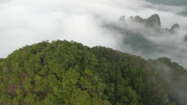 Khao Sok, Tayland 'daki bulutlarla kaplı dağların ve yoğun yağmur ormanlarının havadan görünüşü.