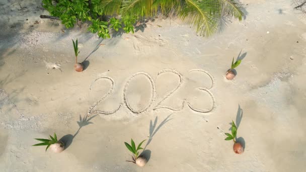 Widok Góry Rok 2023 Wypisany Białym Piasku Tropikalnej Plaży Otoczonej — Wideo stockowe