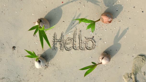 Вид Зверху Знак Hello Написаний Білому Піску Тропічному Пляжі Тлом — стокове відео