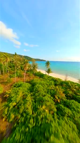 ココナッツヤシの木の上を飛ぶダイナミックFpvドローンと明確なターコイズウォーターで素晴らしい白い砂浜 — ストック動画
