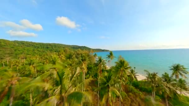 ココナッツヤシの木の上を飛ぶFpvドローンと明確なターコイズ水が付いている見事な空白の砂浜 — ストック動画