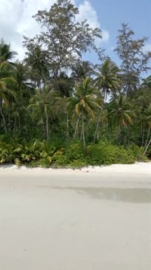 Palmiyeleri, beyaz kumları, kristal berrak suları ve Tayland 'da güzel gökyüzü olan tropik boş bir sahil.. 