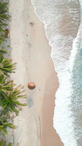 Vista Superior Hermosa Playa Tropical Con Aguas Cristalinas Color Turquesa — Vídeo de stock
