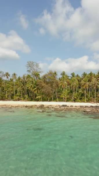Tropikalna Pusta Plaża Palmami Biały Piasek Krystalicznie Czysta Woda Piękne — Wideo stockowe
