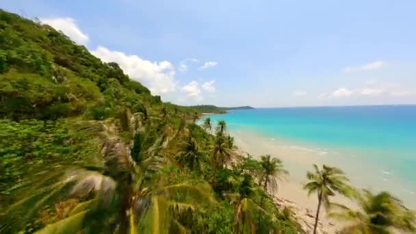 タイのターコイズ水とトロピカルホワイトサンドビーチでヤシの木に近いFpvドローン — ストック動画