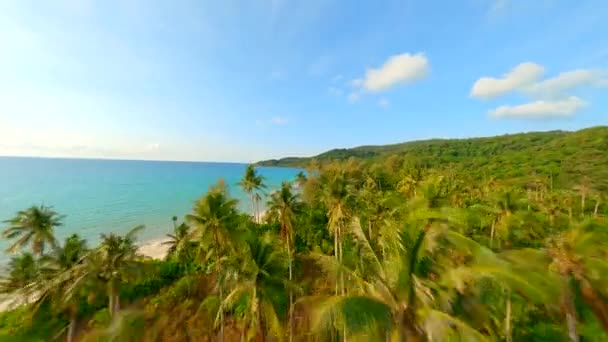 Dron Fpv Latający Blisko Palm Tropikalnej Plaży Białym Piaskiem Turkusową — Wideo stockowe