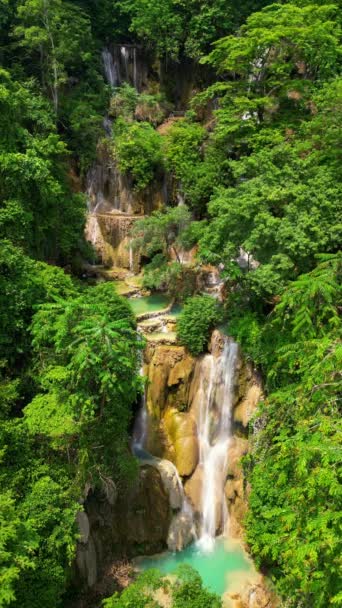 Increíble Cascada Tropical Selva — Vídeo de stock