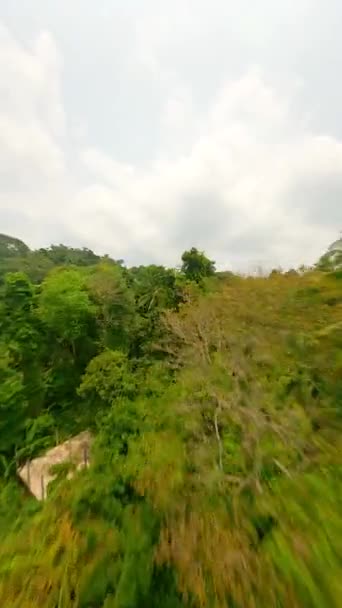 Vuelo Dinámico Drones Fpv Sobre Selva Día Soleado — Vídeos de Stock