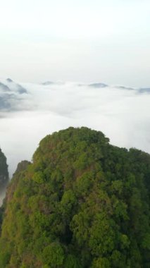 Khao Sok, Tayland 'daki bulutlarla kaplı dağların ve yoğun yağmur ormanlarının havadan görünüşü.