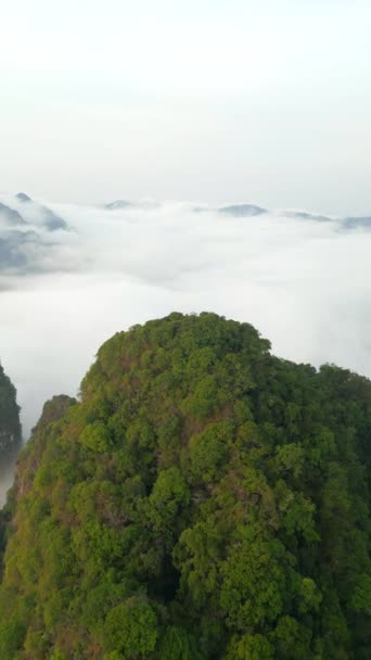 Vista Aérea Las Montañas Cubiertas Nubes Densas Selvas Tropicales Khao — Vídeo de stock