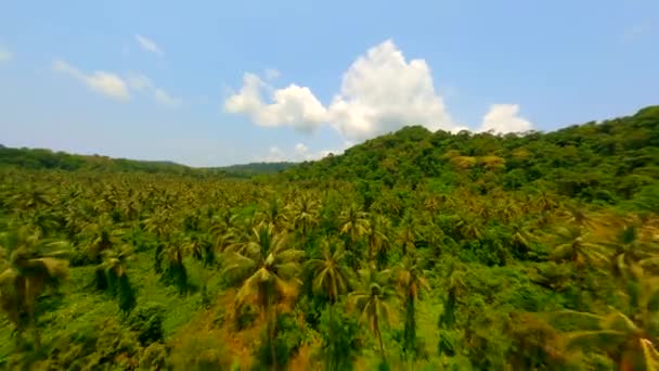 Fpv Drone Che Sorvola Foresta Palme Tropicali Una Giornata Sole — Video Stock