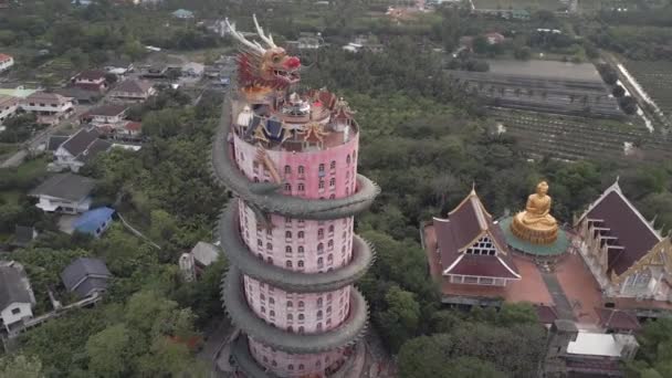 Vue Aérienne Temple Dragon Situé Près Bangkok Thaïlande — Video